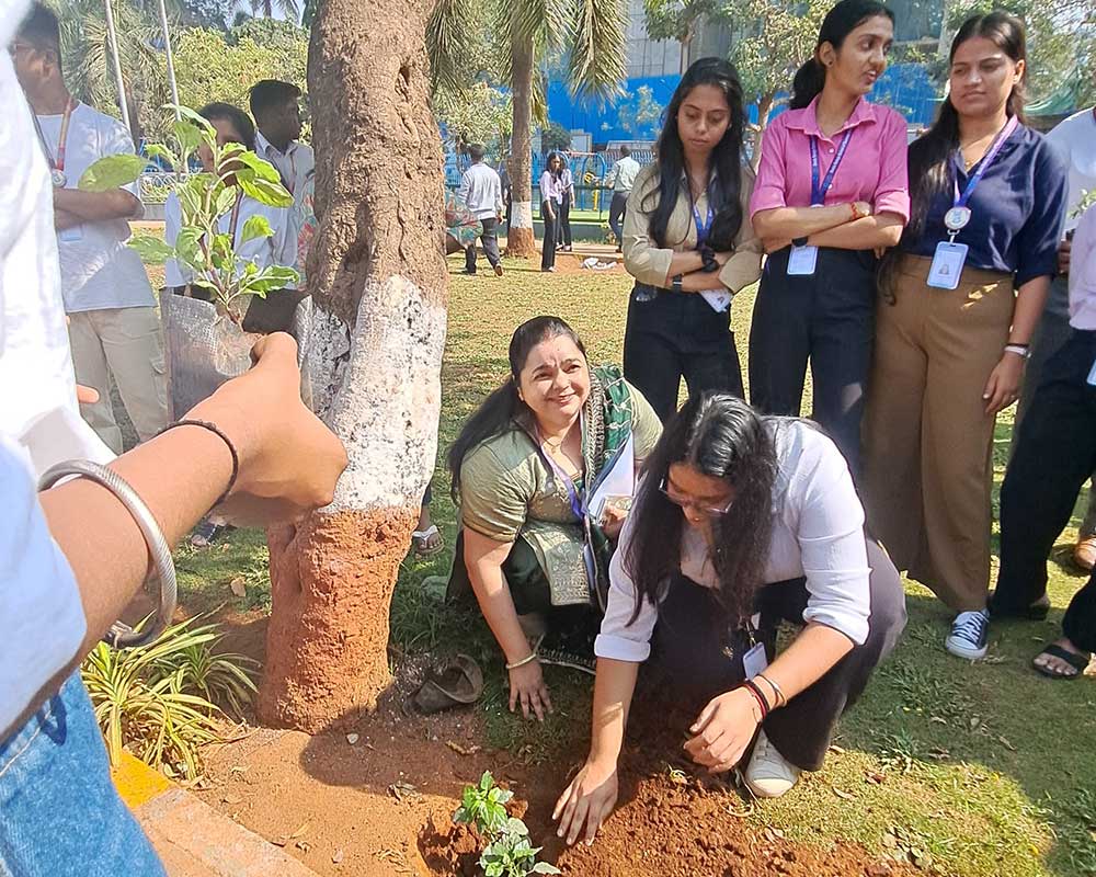 Tree Plantation Drive