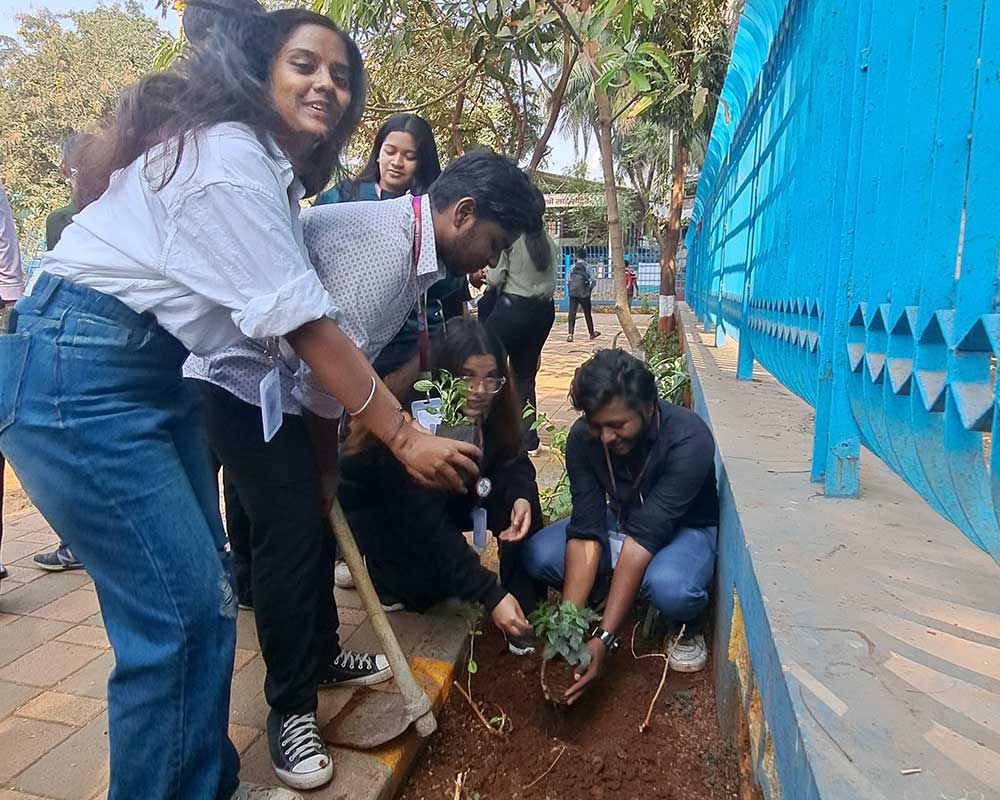Tree Plantation Drive