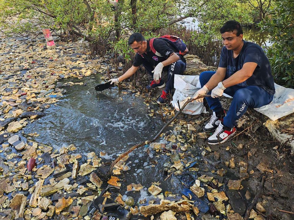 Mangrove Cleaning